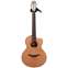 Lowden S25J Nylon Indian Rosewood Back and Sides Red Cedar #18927 Front View