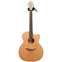 Lowden O22C Mahogany/Red Cedar with LR Baggs Anthem #18896 Front View