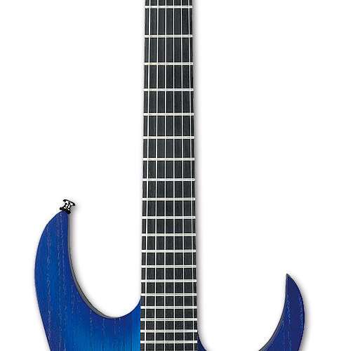 Ibanez RGIT20FE-SBF Sapphire Blue Thru-Neck Iron Label EMG 60/81 ...