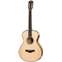 Taylor 712e 12-Fret-FLTD (Fall Limited 2014) Front View