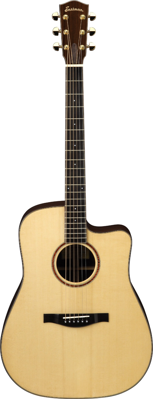 acoustic electric guitalele