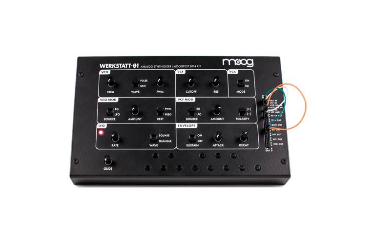 Moog Werkstatt-01 Analog Synth
