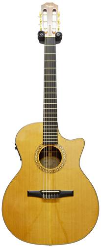 Taylor NS74ce (Pre-owned)