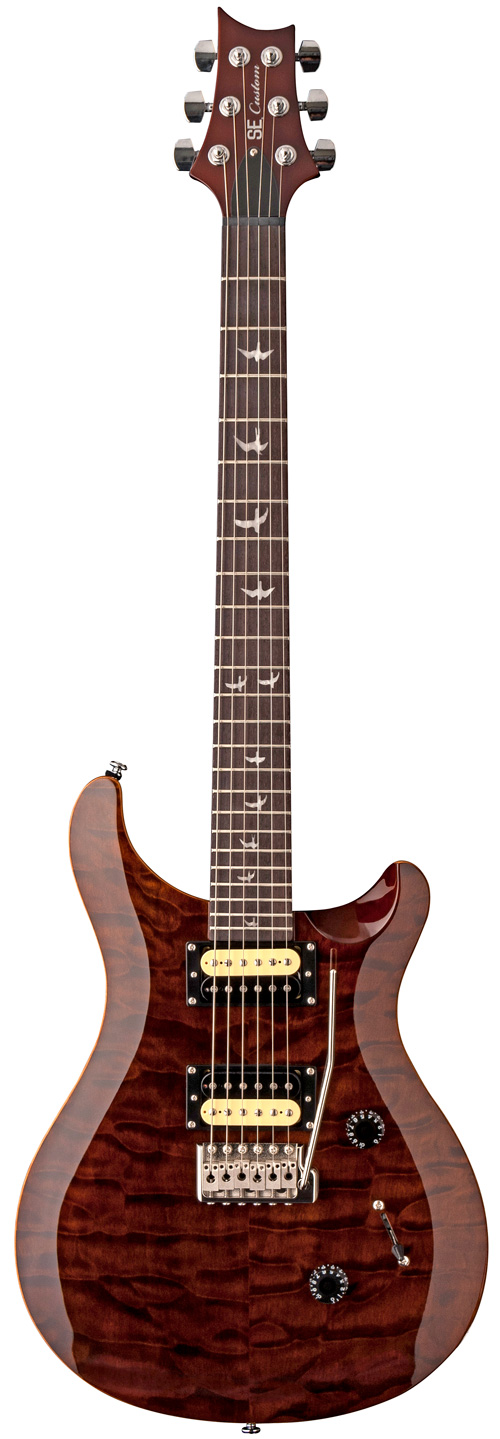PRS 30th Anniversary SE Custom 24 カスタム多数