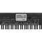 Korg PA3X-LE 76-Note Arranger Keyboard Front View