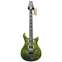 PRS Custom 24 Floyd (2014) Leprechauns Tooth #209757 Front View