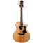 Taylor 314ce Electro Acoustic (Discontinued) Front View