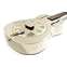 Epiphone Dobro Hound Dog M-14 Metal Body Resonator Front View