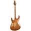 Suhr 2015 Collection Burl Maple Modern Carve Top #27160 Back View