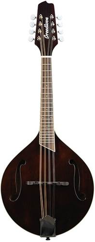 Breedlove Crossover Of Violin Varnish COMOF25V
