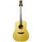 Bedell Coffee House Series Dreadnought Natural  Front View