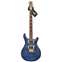 PRS 30th Anniversary Custom 24 Wood Library Faded Blue #216552 Front View