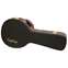 Epiphone A Style Mandolin Case  Front View