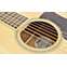 Bourgeois Banjo Killer Slope D Bear Claw Spruce/Figured Mahogany #7018 Back View
