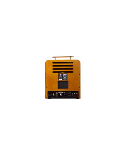 Epiphone Ltd Ed. Electar Century Amplifier  (Ex-Demo)