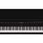 Roland LX-17PE Polished Ebony Digital Piano with Matching RPS-30 Stool Front View