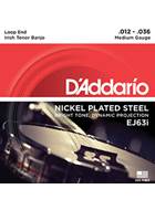 D'Addario EJ63i Irish Tenor Banjo Strings Nickel 9-30