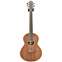 Lowden Wee Lowden East Indian Rosewood / Redwood #19857 Front View