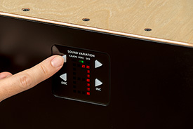 Roland EC-10 Cajon | guitarguitar