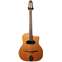 Ozark 3613 Gypsy Guitar D Soundhole Spruce/Rosewood With Case Front View