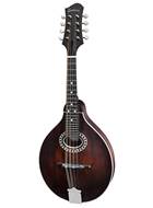 Eastman MD304 A-style