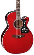 Takamine GN75CEWR