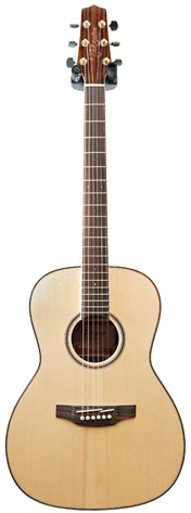 Takamine GY93NAT