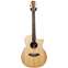 Cole Clark Angel 2 Bunya Top, Indian Rosewood Back and Sides Cutaway  Front View