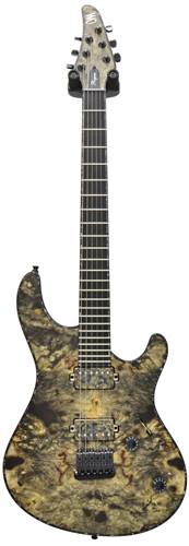Mayones Regius 6 Custom guitarguitar Custom Build