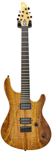 Mayones Regius 6 Custom guitarguitar Custom Build