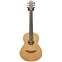 Lowden Wee Lowden East Indian Rosewood / Red Cedar #20300 Front View
