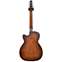 Seagull Performer CW Concert Hall Burnt Umber Q1T Back View
