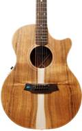 Cole Clark AN 2 Blackwood Cutaway