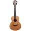 Lowden Wee Lowden WL-25 East Indian Rosewood / Red Cedar L/H #20360 Front View