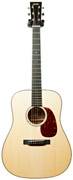 Collings D1 AT Traditional (Ex-Demo) #26231