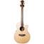 Cole Clark Angel 2 Spruce Top Rosewood Back and Sides  Front View