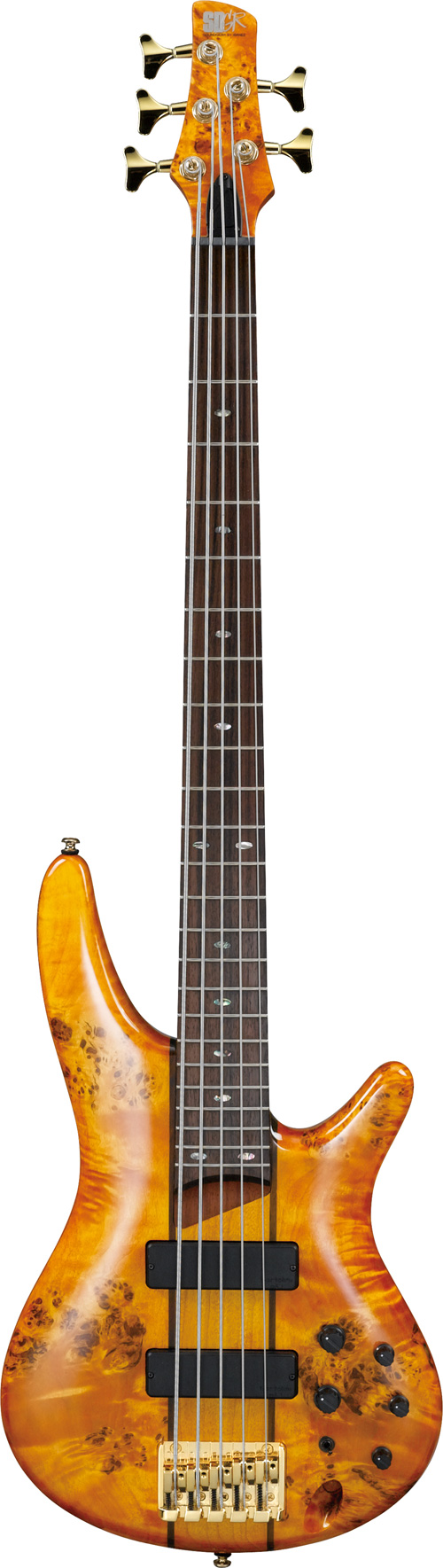 Ibanez SR805-AM Amber (2017) | guitarguitar