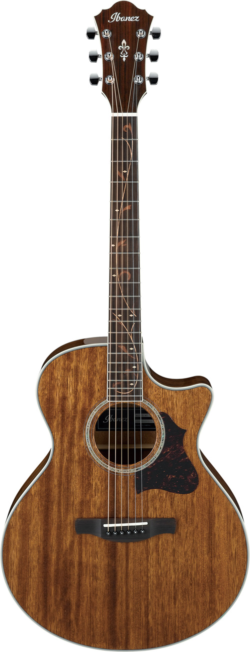 Ibanez AE245 Natural