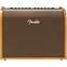 Fender Acoustic 100 Combo Front View