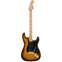 Fender Exotic Wood 2017 Limited Edition American Professional Mahogany Stratocaster Violin Burst Front View