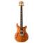 PRS CE24 Semi Hollow Reclaimed Limited Edition Front View