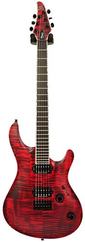 Mayones Regius 6 Core Classic Trans Dirty Red guitarguitar Custom Build