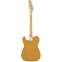 Fender Standard Tele Butterscotch Blonde MN Back View