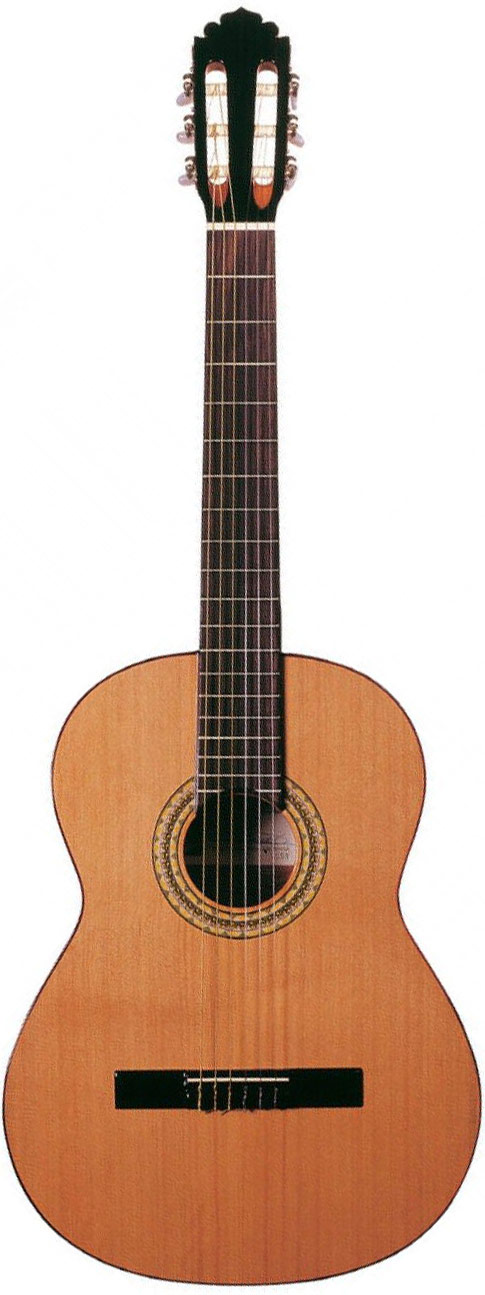 Manuel Rodriguez Caballero 11