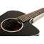 Taylor 214ce-BLK Deluxe Front View