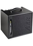 AER Amp One Bass Amplifier
