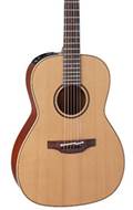 Takamine P3NY
