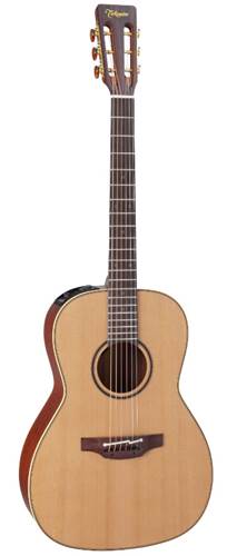 Takamine P3NY