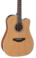 Takamine GD20CE-NS