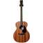 Martin GPX1SAE Custom Sapele Solid Top Edition Front View